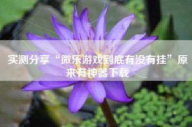 实测分享“微乐游戏到底有没有挂”原来有神器下载