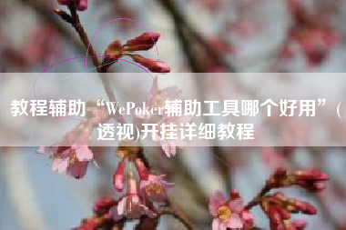 教程辅助“WePoker辅助工具哪个好用	”(透视)开挂详细教程
