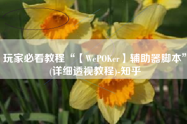 玩家必看教程“【WePOKer】辅助器脚本	”(详细透视教程)-知乎