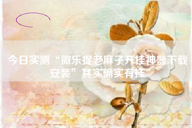 今日实测“微乐捉老麻子开挂神器下载安装”其实确实有挂