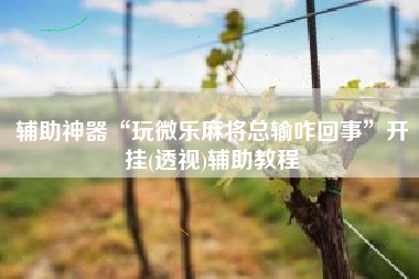 辅助神器“玩微乐麻将总输咋回事	”开挂(透视)辅助教程