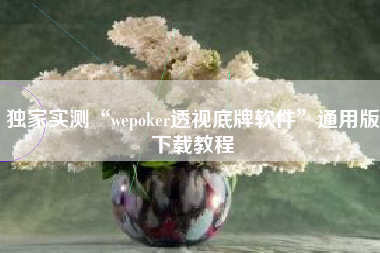 独家实测“wepoker透视底牌软件”通用版下载教程