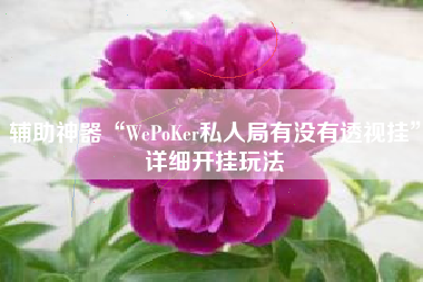 辅助神器“WePoKer私人局有没有透视挂”详细开挂玩法