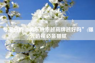 专家分析“微乐胜率越高牌越好吗”(曝光透视必备猫腻