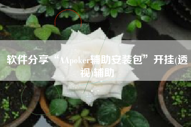 软件分享“AApoker辅助安装包”开挂(透视)辅助