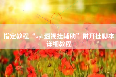 指定教程“wpk透视挂辅助”附开挂脚本详细教程