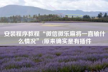 安装程序教程“微信微乐麻将一直输什么情况”(原来确实是有插件