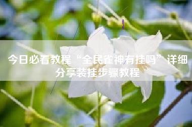 今日必看教程“全民雀神有挂吗	”详细分享装挂步骤教程