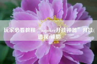 玩家必看教程“aapoker开挂神器	”开挂(透视)辅助