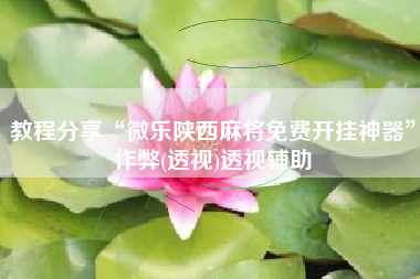 教程分享“微乐陕西麻将免费开挂神器	”作弊(透视)透视辅助