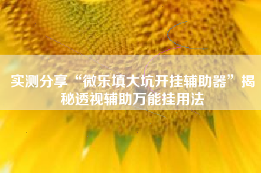 实测分享“微乐填大坑开挂辅助器	”揭秘透视辅助万能挂用法