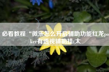 必看教程“微乐怎么开启辅助功能红龙poker有透视辅助挂(太