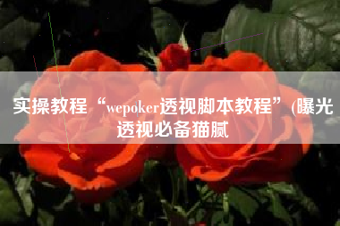 实操教程“wepoker透视脚本教程	”(曝光透视必备猫腻