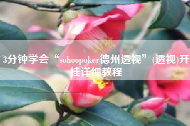 3分钟学会“sohoopoker德州透视”(透视)开挂详细教程