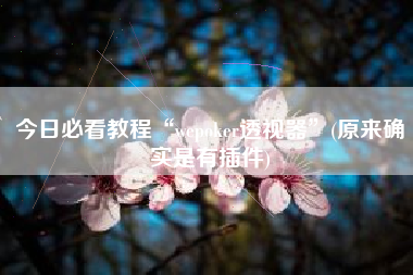 今日必看教程“wepoker透视器”(原来确实是有插件)