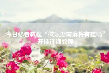 今日必看教程“微乐湖南麻将有挂吗”开挂详细教程