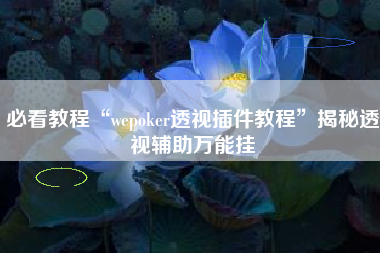 必看教程“wepoker透视插件教程”揭秘透视辅助万能挂