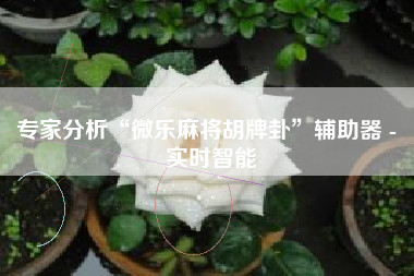 专家分析“微乐麻将胡牌卦”辅助器 - 实时智能