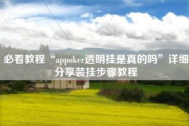 必看教程“appoker透明挂是真的吗	”详细分享装挂步骤教程