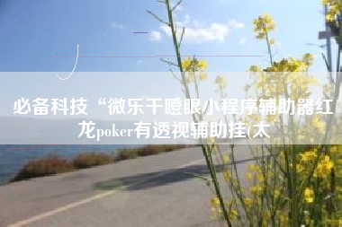 必备科技“微乐干瞪眼小程序辅助器红龙poker有透视辅助挂(太