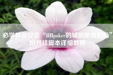 必学教你安装“HHpoker的辅助是真的吗”附开挂脚本详细教程