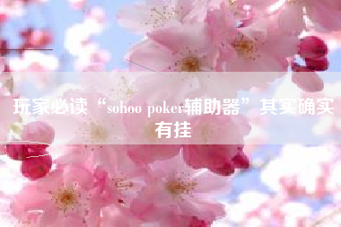 玩家必读“sohoo poker辅助器”其实确实有挂