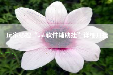 玩家必搜“wpk软件辅助挂”详细开挂