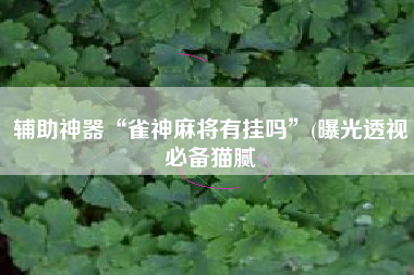 辅助神器“雀神麻将有挂吗	”(曝光透视必备猫腻