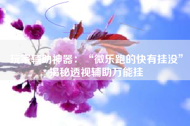 玩家辅助神器：“微乐跑的快有挂没	”揭秘透视辅助万能挂