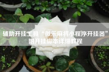 辅助开挂工具“微乐麻将小程序开挂器”附开挂脚本详细教程