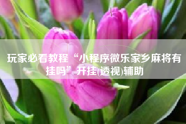 玩家必看教程“小程序微乐家乡麻将有挂吗”开挂(透视)辅助