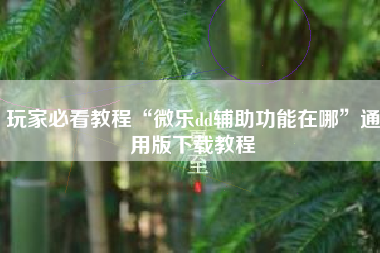 玩家必看教程“微乐dd辅助功能在哪	”通用版下载教程