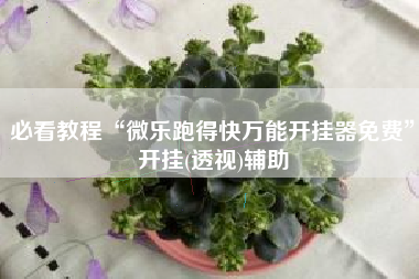 必看教程“微乐跑得快万能开挂器免费	”开挂(透视)辅助