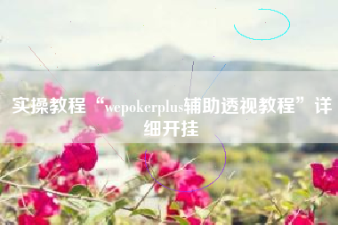 实操教程“wepokerplus辅助透视教程”详细开挂