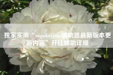 独家实测“wepokerplus辅助器最新版本更新内容”开挂辅助详细