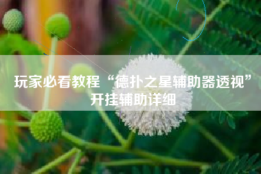 玩家必看教程“德扑之星辅助器透视	”开挂辅助详细