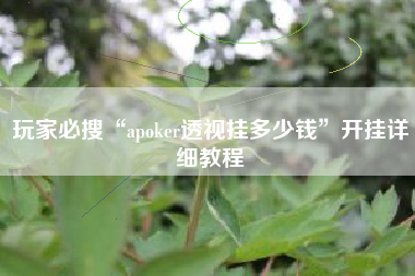 玩家必搜“apoker透视挂多少钱	”开挂详细教程