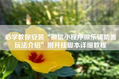 必学教你安装“微信小程序微乐辅助器玩法介绍”附开挂脚本详细教程