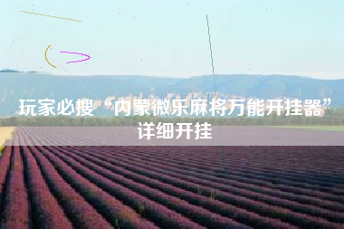 玩家必搜“内蒙微乐麻将万能开挂器”详细开挂