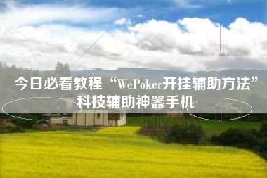 今日必看教程“WePoker开挂辅助方法	”科技辅助神器手机