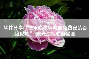 软件分享“微乐必赢辅助器免费安装百度贴吧	”(曝光透视必备猫腻