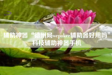 辅助神器“德州局wepoker辅助器好用吗	”科技辅助神器手机