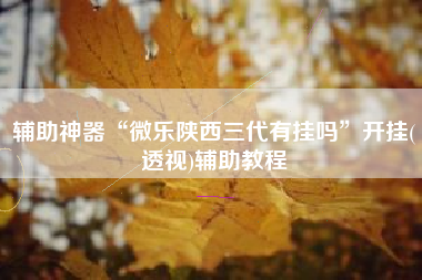 辅助神器“微乐陕西三代有挂吗	”开挂(透视)辅助教程