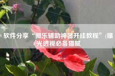 软件分享“微乐辅助神器开挂教程	”(曝光透视必备猫腻