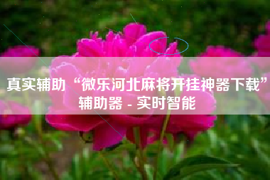 真实辅助“微乐河北麻将开挂神器下载	”辅助器 - 实时智能