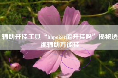 辅助开挂工具“hhpoker能开挂吗”揭秘透视辅助万能挂