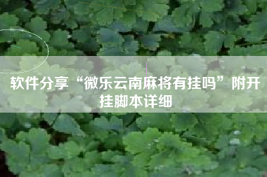 软件分享“微乐云南麻将有挂吗”附开挂脚本详细