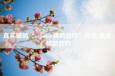 真实辅助“wepoker辅助插件”开挂(透视)辅助教程