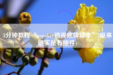 3分钟教程“wepoker透视底牌脚本”(原来确实是有插件)