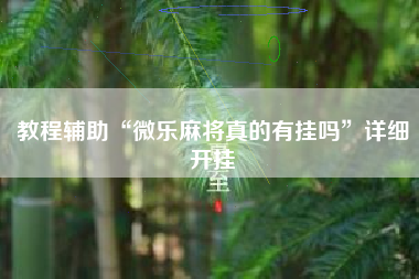 教程辅助“微乐麻将真的有挂吗”详细开挂